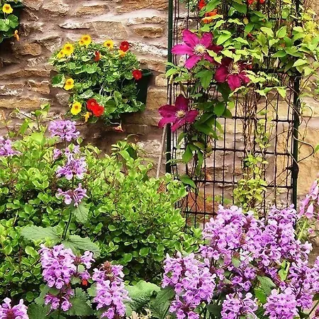 Ashfield House 5* Grassington