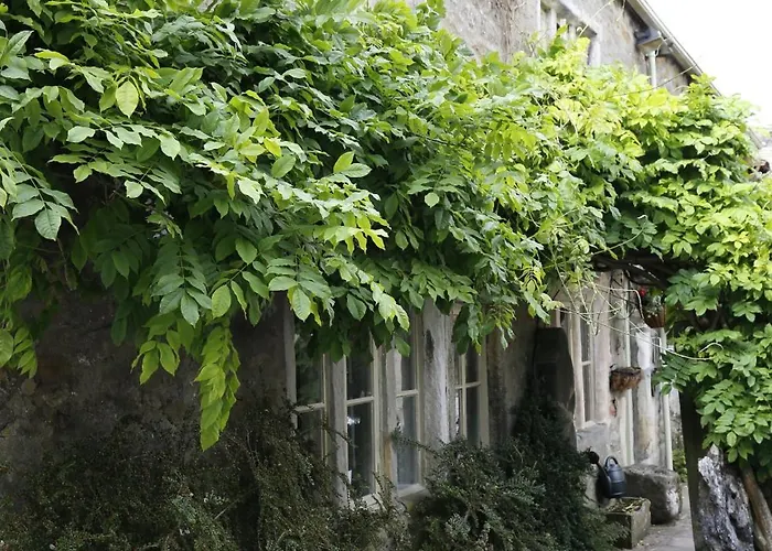 Ashfield House Bed & Breakfast